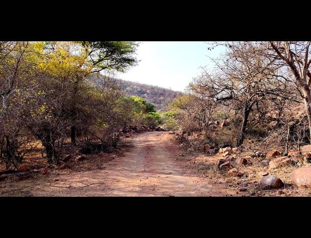 FARM FOR SALE IN LEPHALALE RURAL